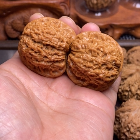 文玩核桃把件血麒麟40