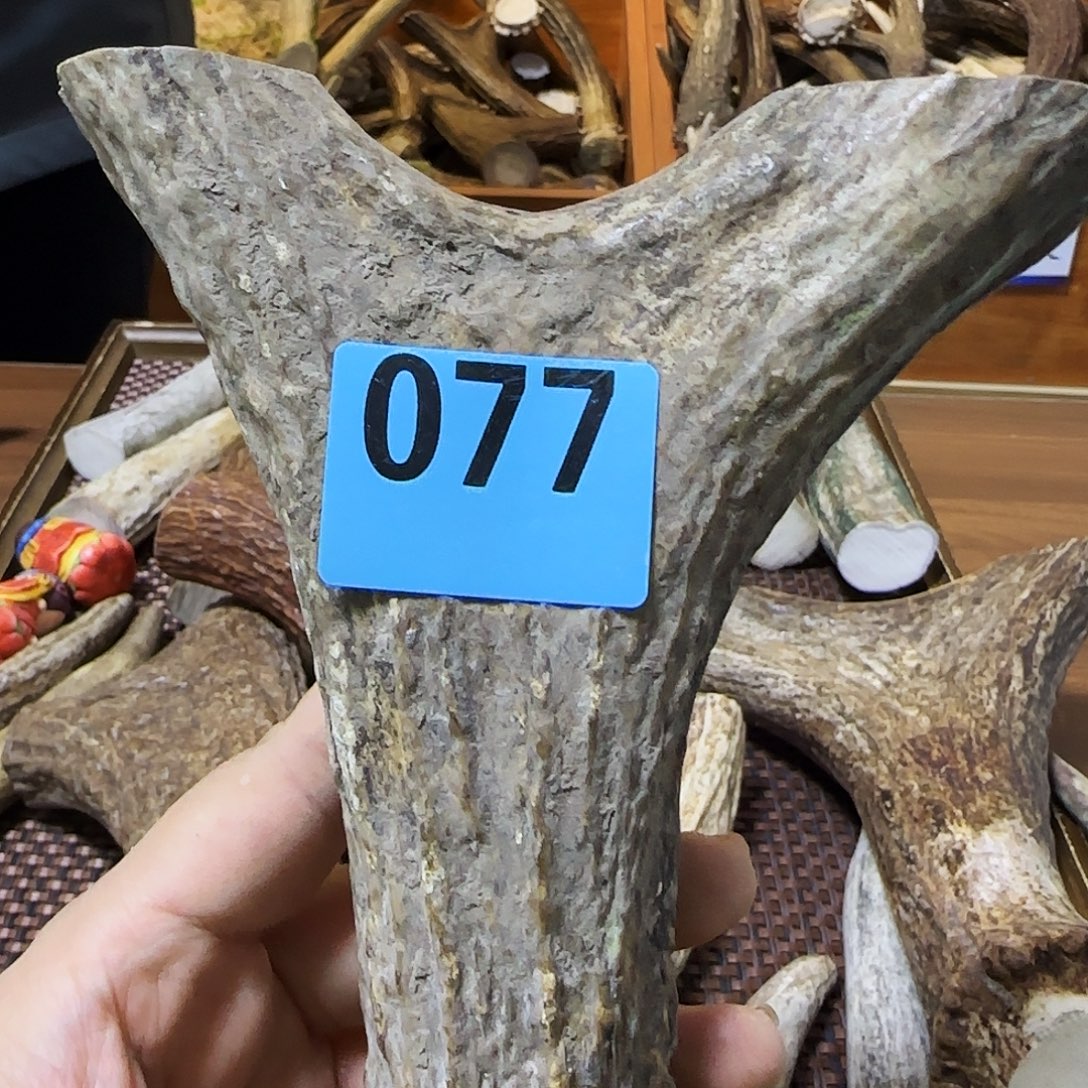 鹿骨手串/手链弹弓料077