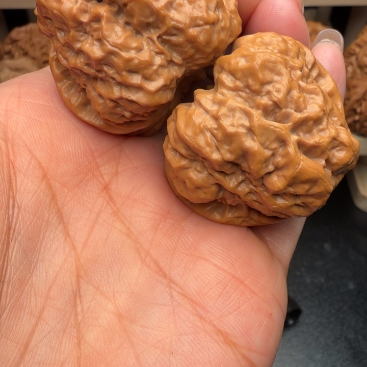 5***m核桃耶耶耶耶耶耶