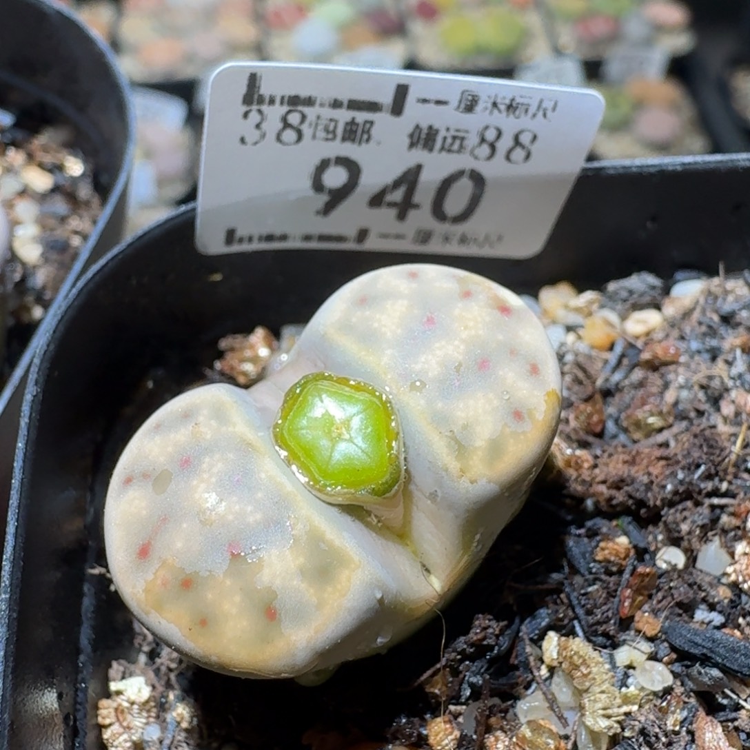 Sss清货便宜卖940