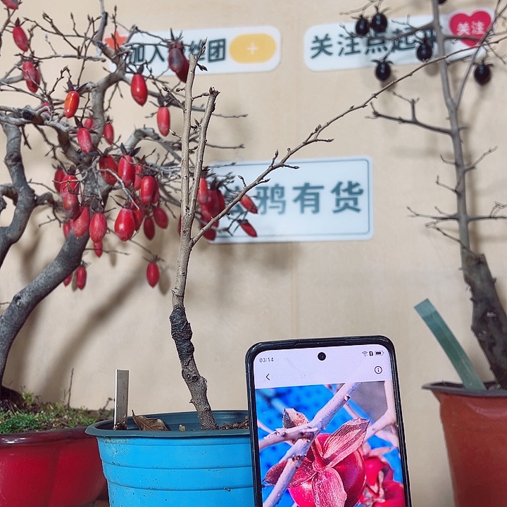 随***安无花朵哈哈哈哈哈哈