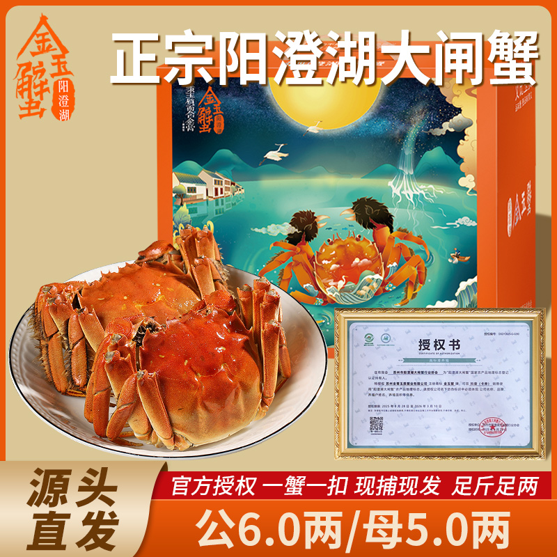 【活蟹】阳澄湖大闸蟹6两公+5两母3/4/5对装礼盒装金玉蟹大闸蟹塘养
