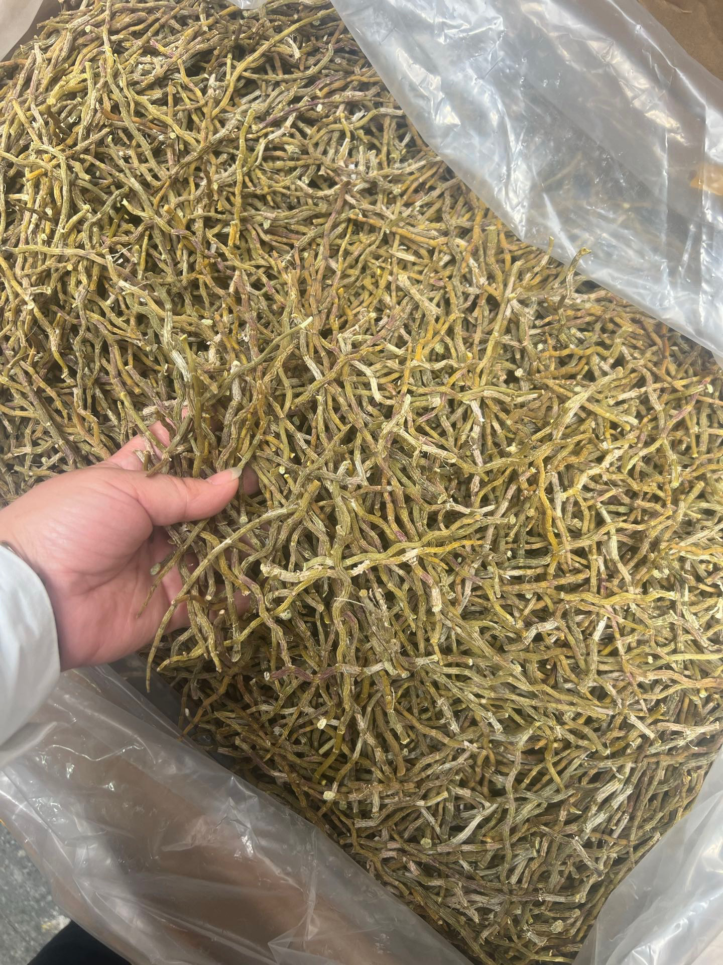 【一珊甄选】高品质铁皮石斛干条