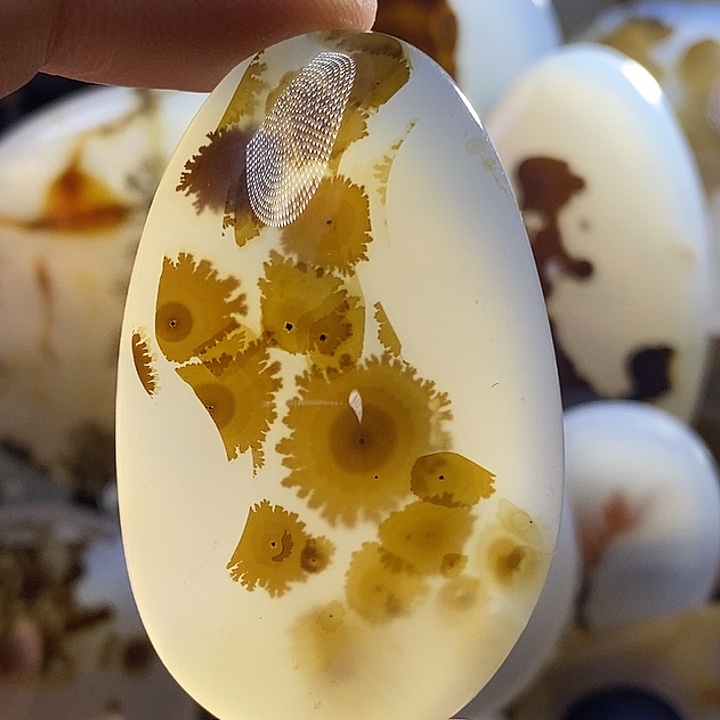 未镶嵌颈饰玛瑙/玉髓否**来