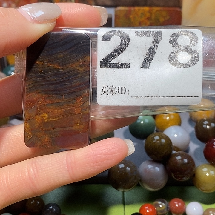 硅化玉未镶嵌天然北票树化玉吊坠
