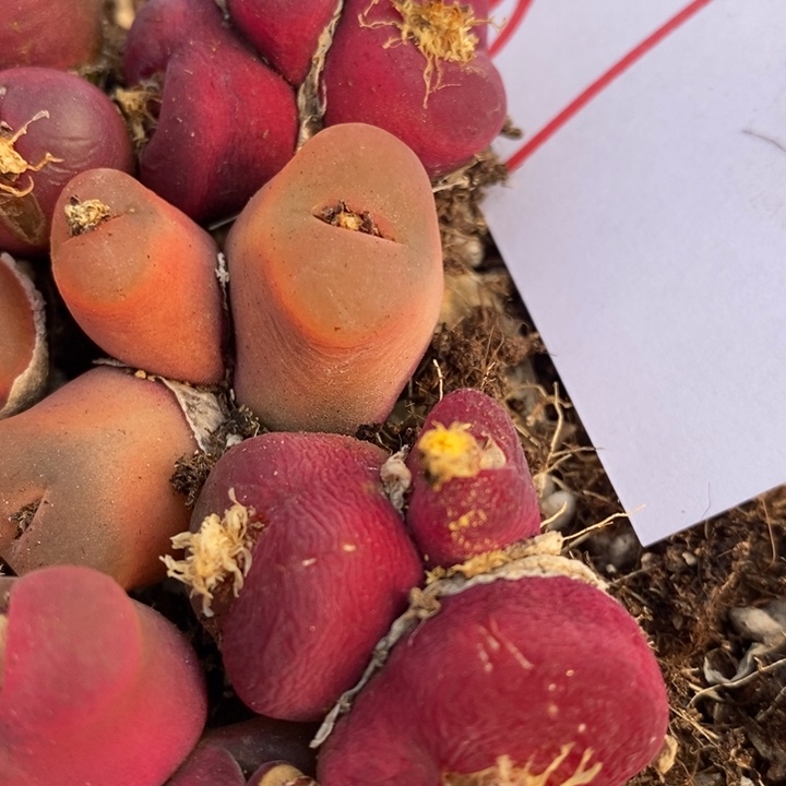 3012有伤一组一组