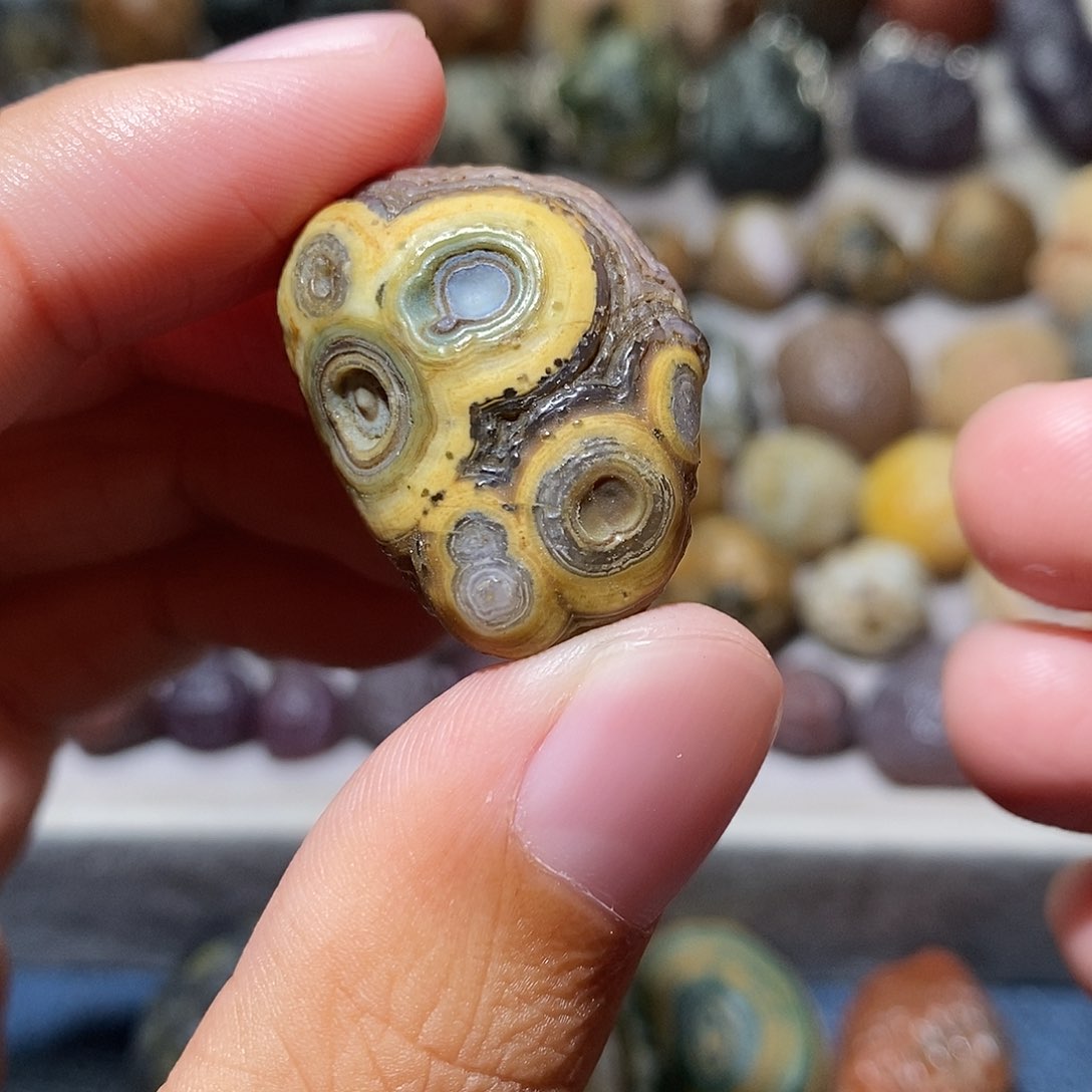 石头精品眼睛单科