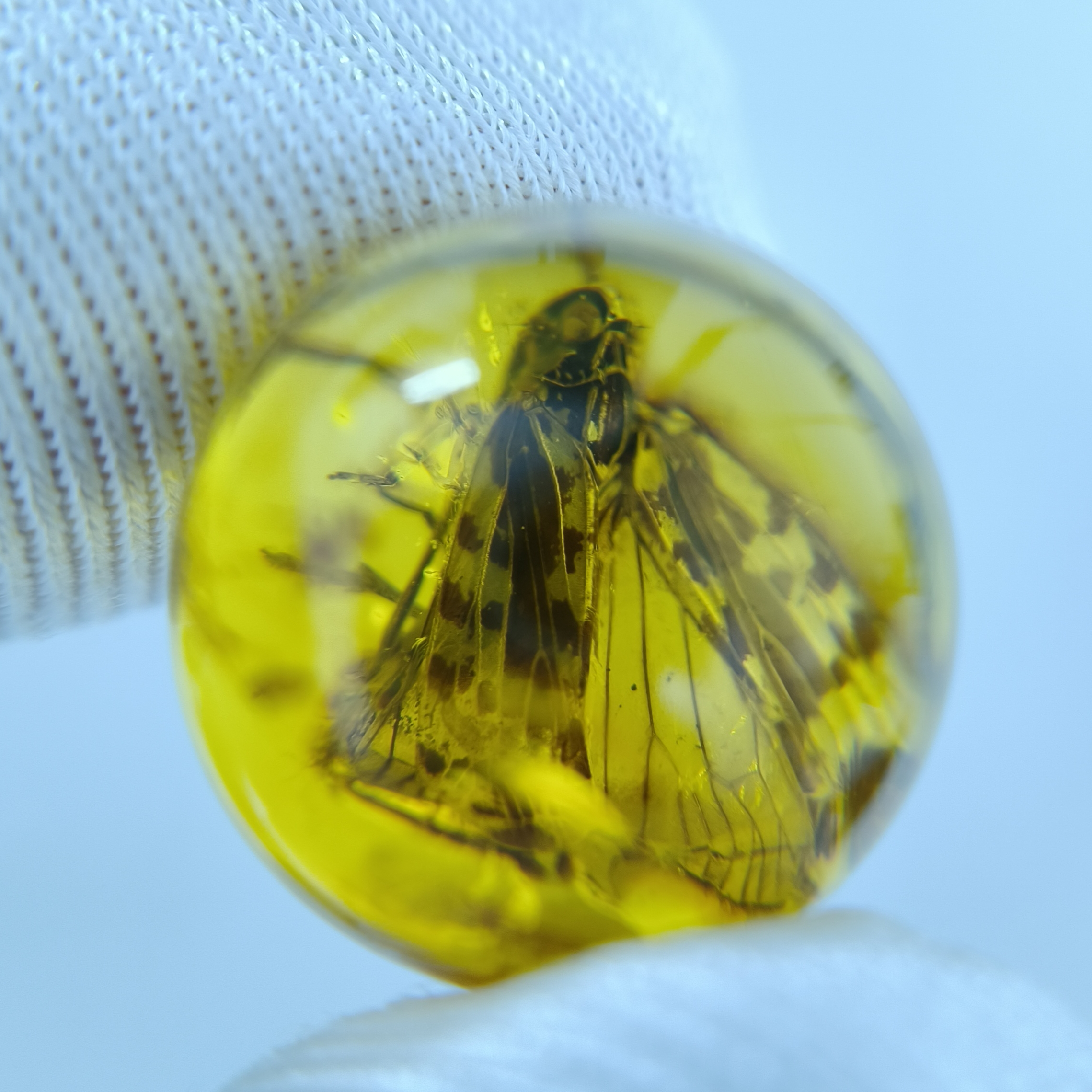 【飞蛾】天然琥珀虫珀圆珠尺寸约14.8顶珠多宝收藏配饰打孔不退换