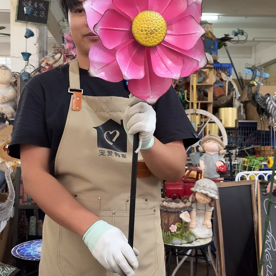 核桃木/黑胡桃（胡桃木）