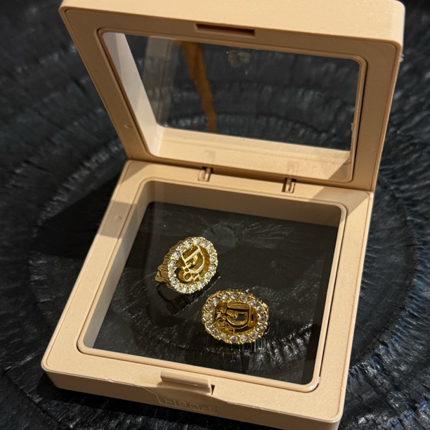 99新 DIOR/迪奥 logo椭圆镶钻耳夹 中古耳饰