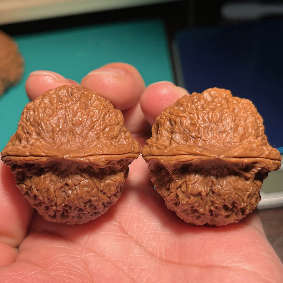 文玩铁核桃舍利纹39尺53克