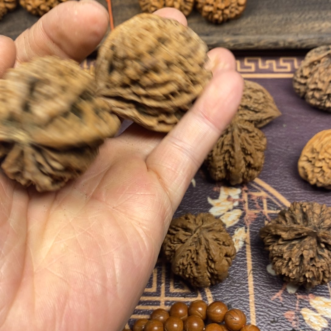 用****4秦岭南北区有什么地方