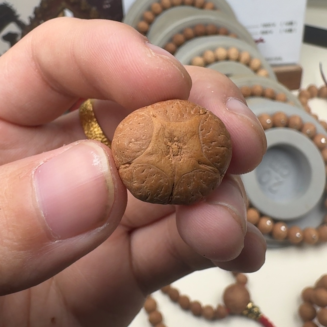 吊坠凤眼菩提19.7/12.8五星