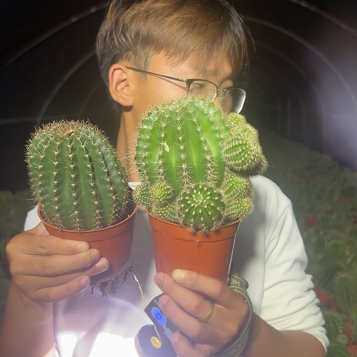 X***S无花朵彩草哈哈哈哈哈哈哈哈