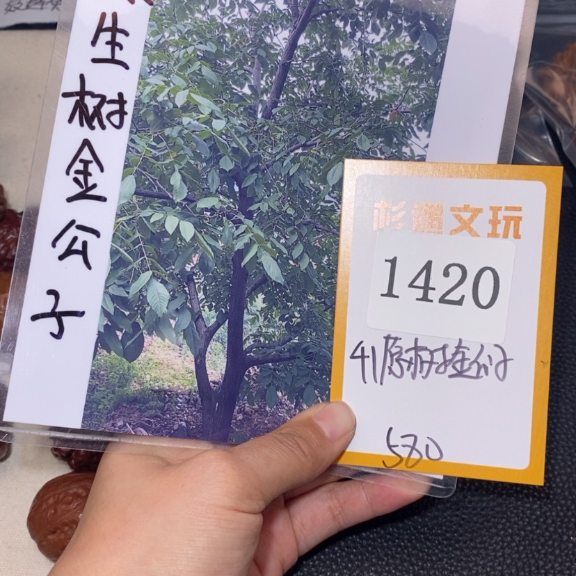 【闪购商品】文玩核桃吊坠1420原树金公子5
