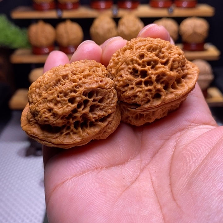 核桃云铁蝉王22号