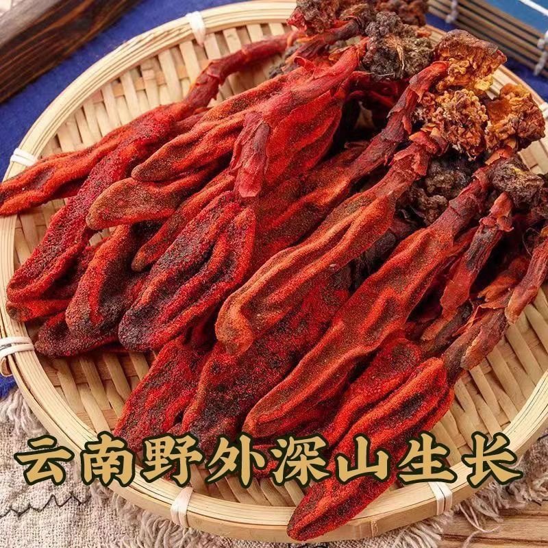 云南野外顶天柱回草春可泡水煲汤泡茶泡酒的正品干菜