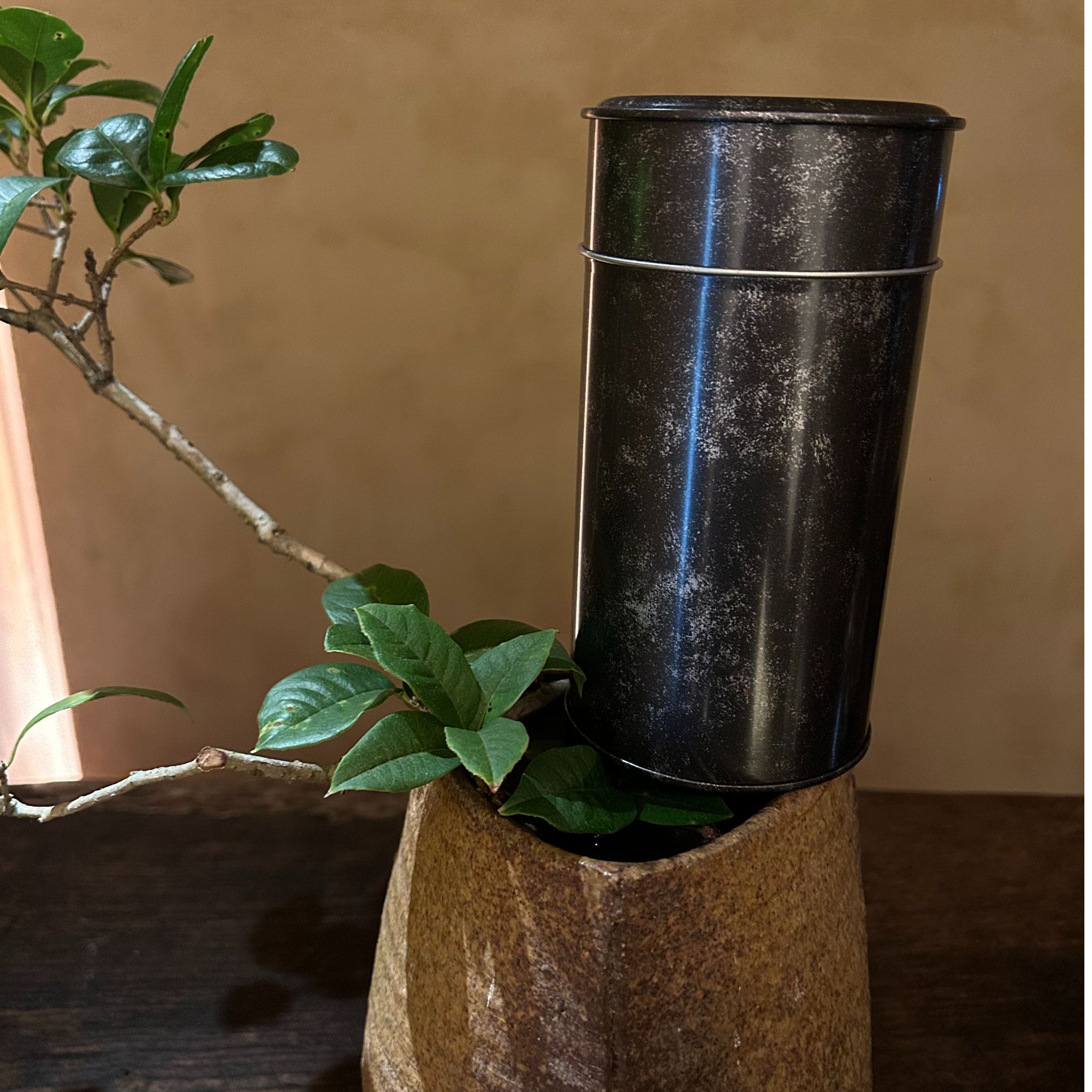 武夷岩茶【老枞】100g