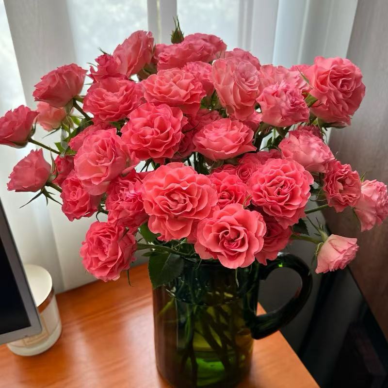 花無凡【粉华尔兹多头玫瑰10支】【3单送配草，5单送配花】