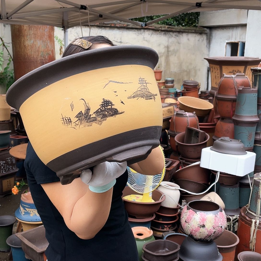 003花盆紫砂花盆紫砂