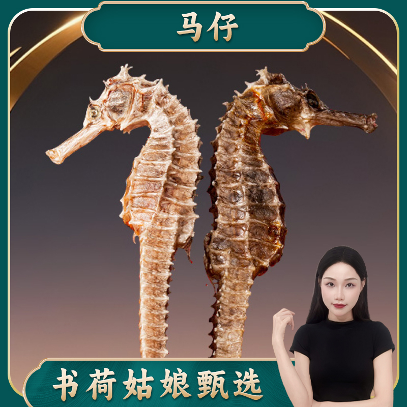 书荷姑娘精选海马一公一母配对 滋补煲汤泡酒佳品