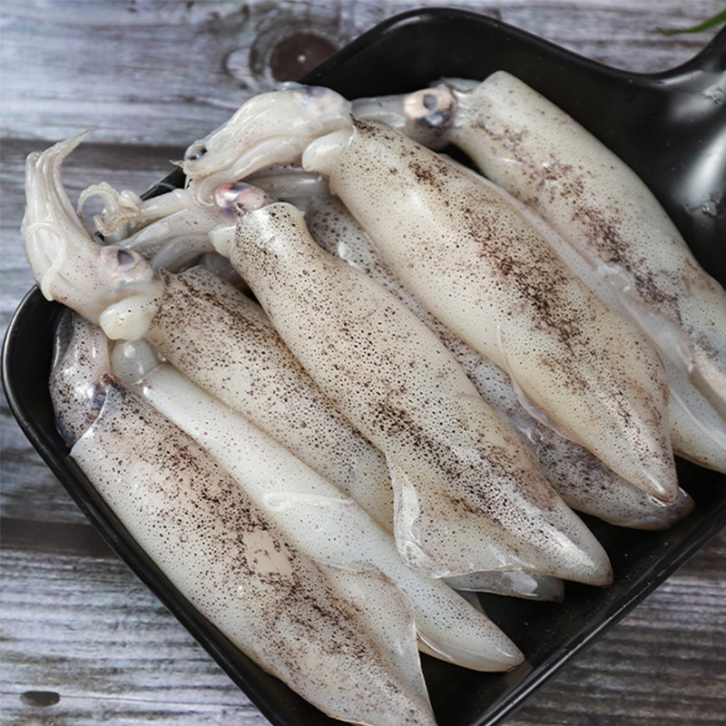 新鲜船冻海兔（大个头）冷冻发货公母混大小混3斤-4斤-5斤。顺丰发货