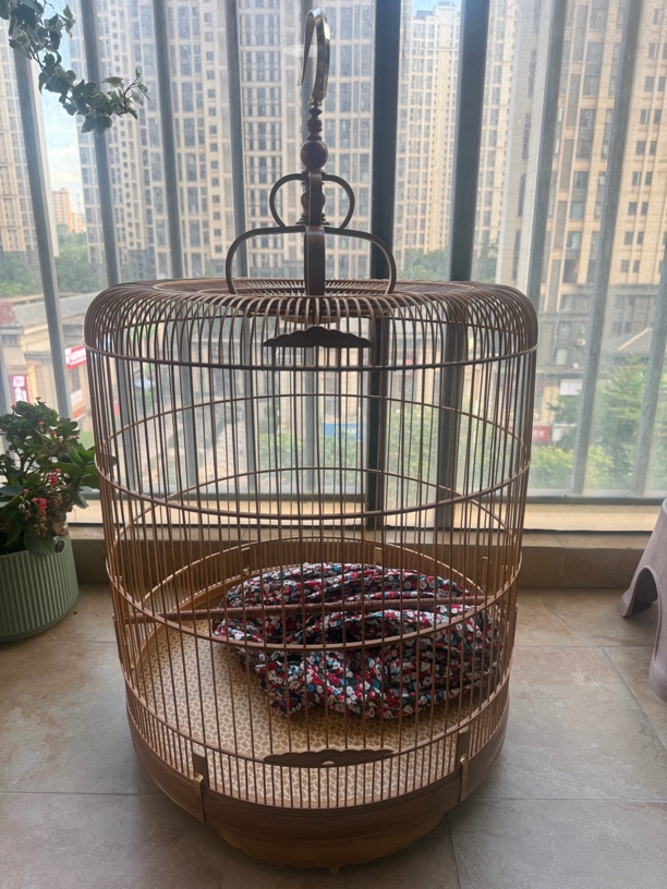 越南长尾喜鹊笼（50*50厘米）