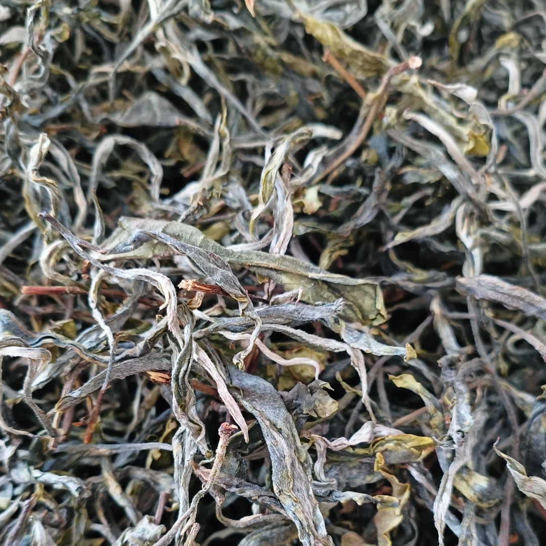 古树茶王地普洱生散茶春兰香滋味冰糖甜（2025 春）