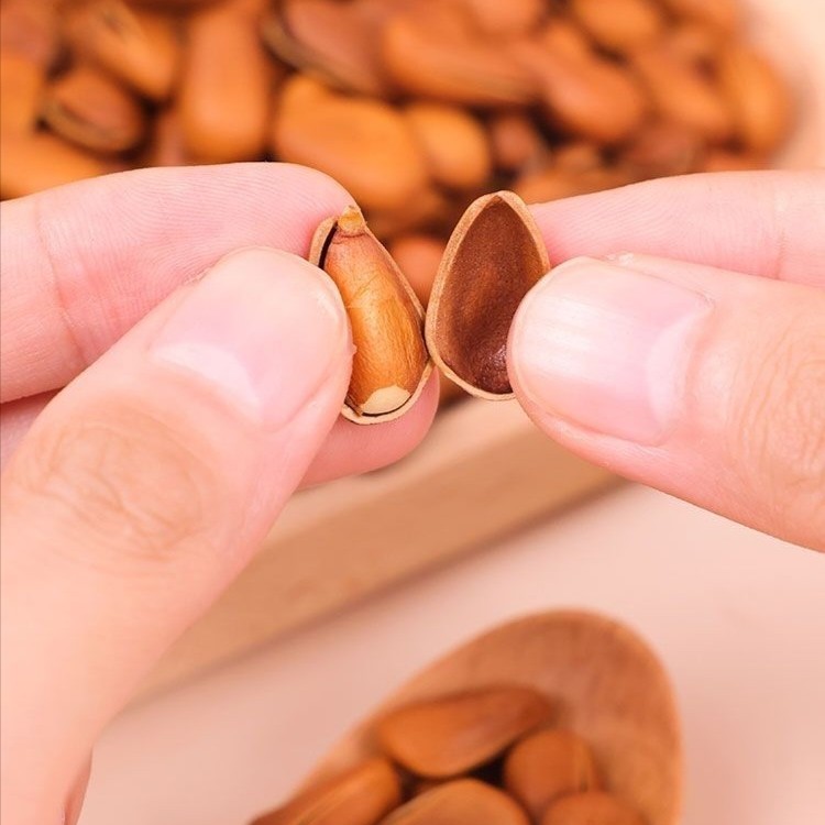 新货大颗粒开口松子坚果批发大颗粒松子袋装净重大颗粒新鲜松子