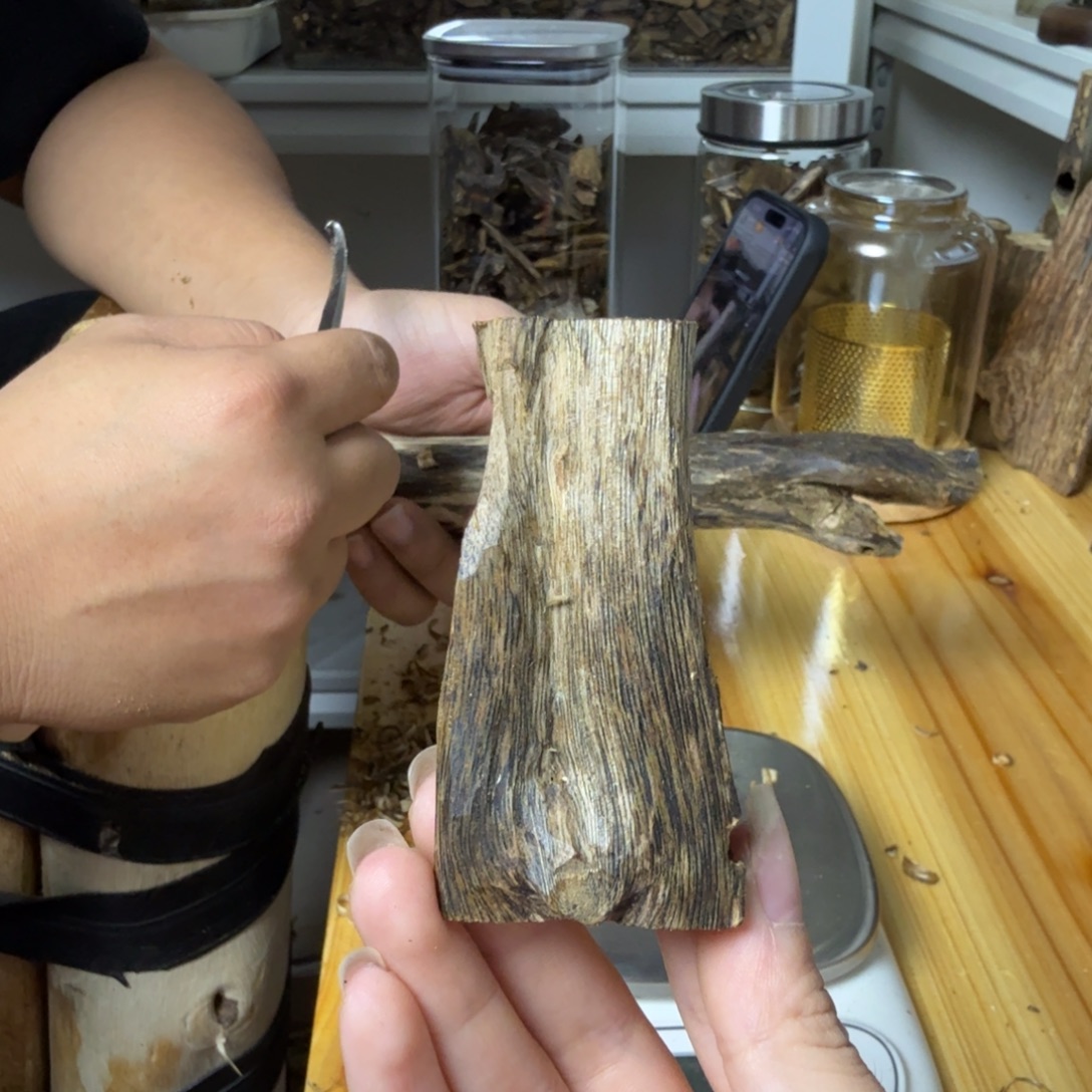 沉香白奇虫漏香12克