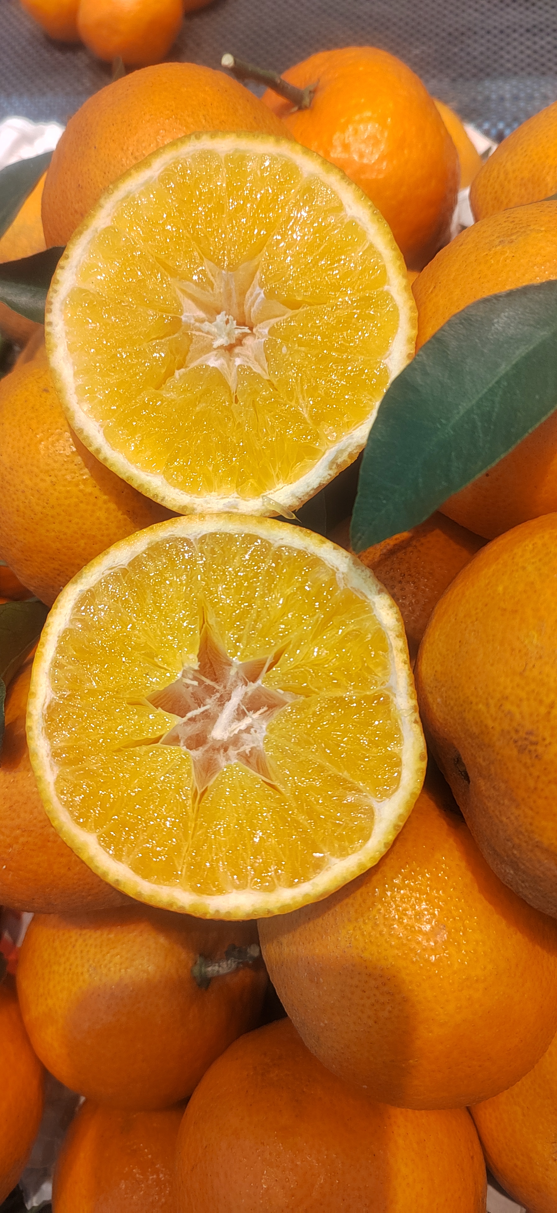 九分甜一分酸的果冻橙三斤装左右