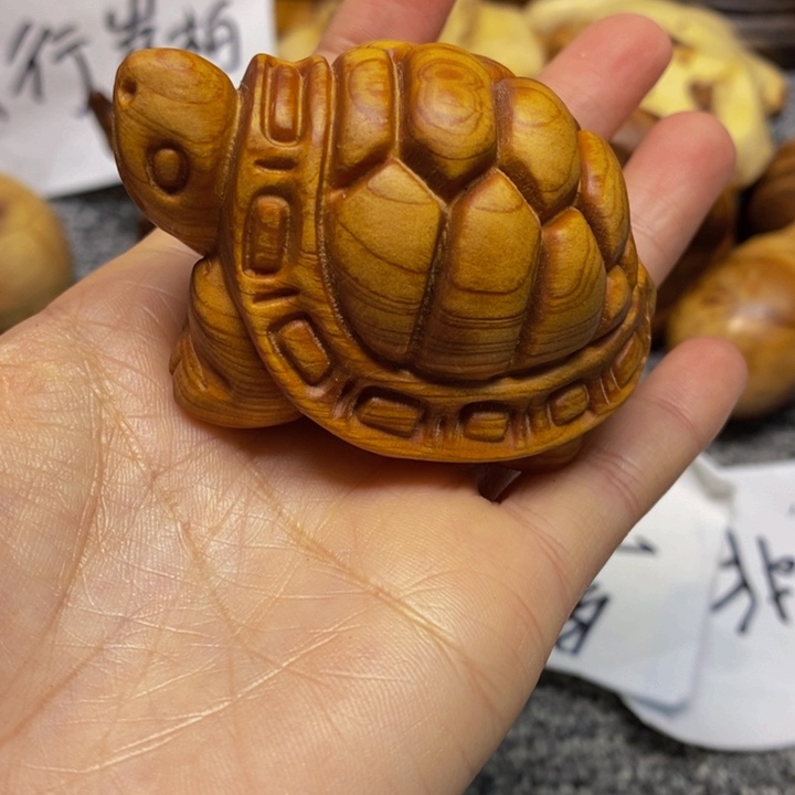 柏木（崖柏）崖柏163