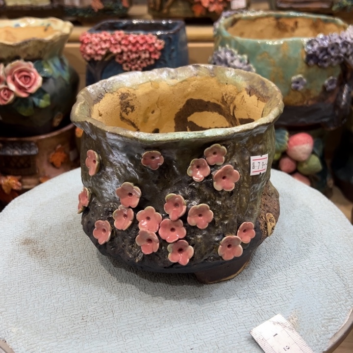 陶然多肉花盆百搭