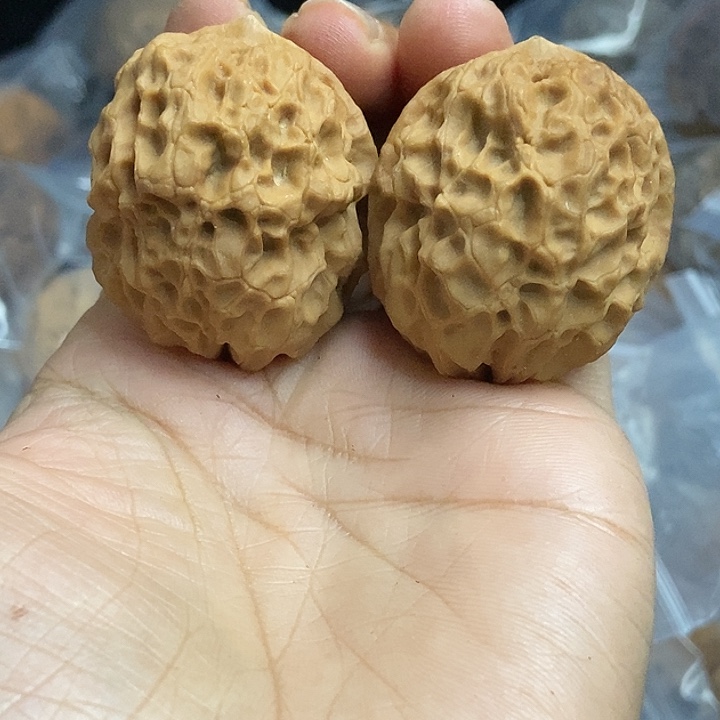 把件文玩核桃云南铁核桃基地23