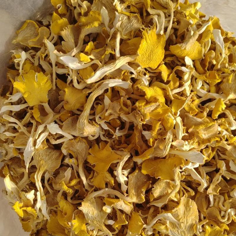 榆黄蘑250g起包邮