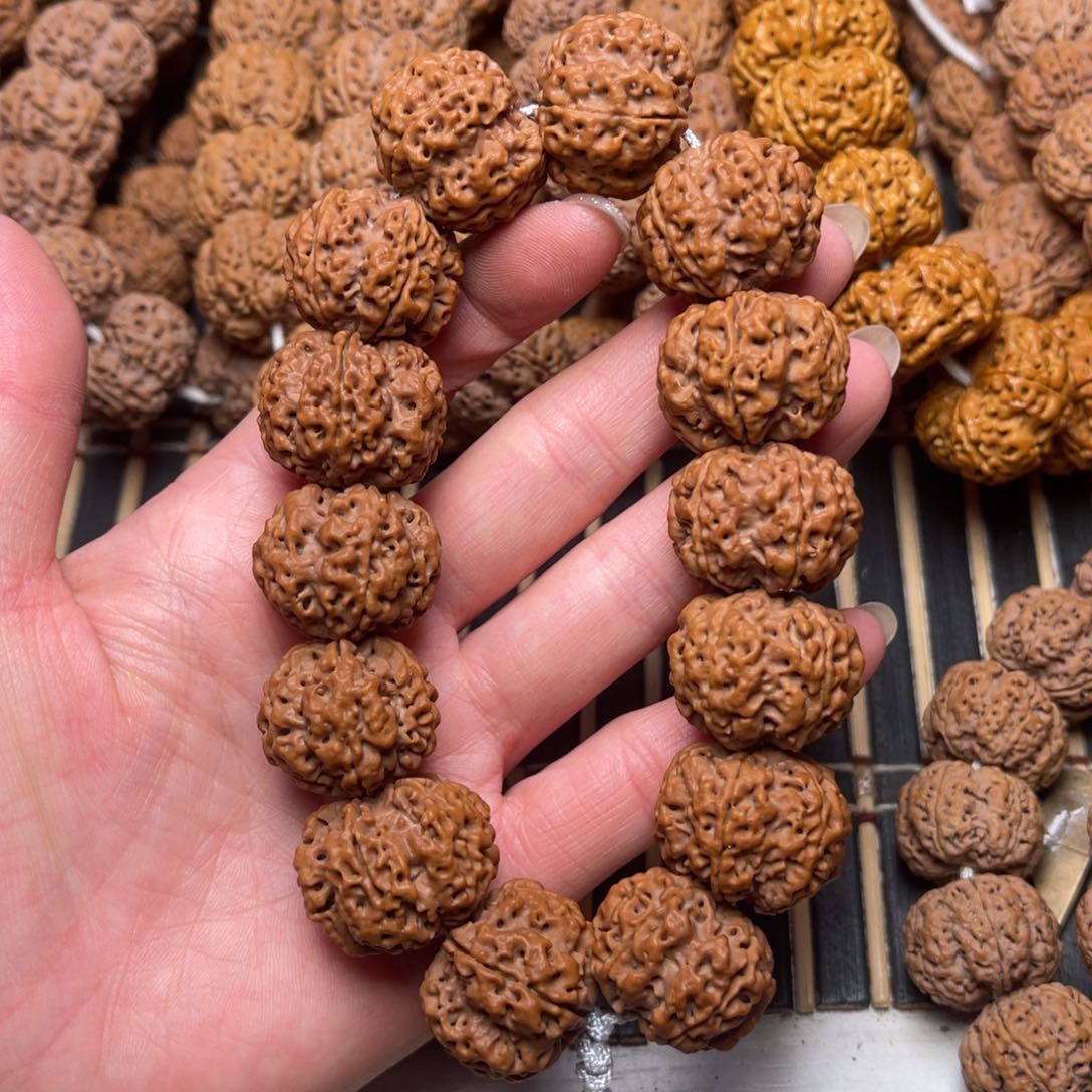 菩提尼泊尔大金刚原生态五爪金龙24