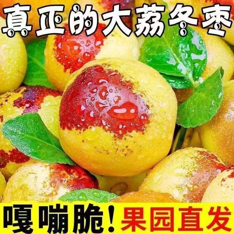 【京东快递】精品枣成熟陕西大荔正宗现摘冬枣脆甜多汁新鲜应季水果