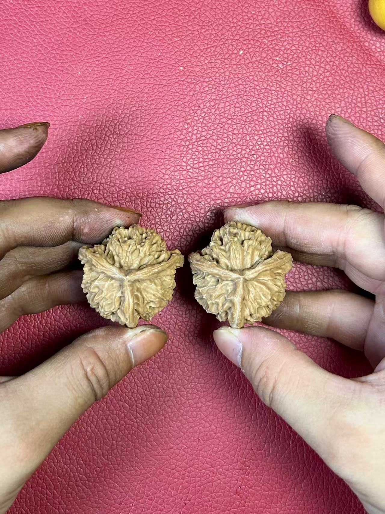 盘山三棱子麻核桃