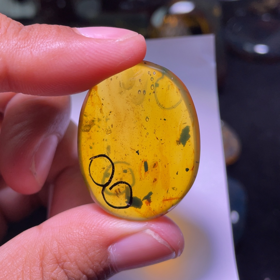 琥珀裸石未镶嵌6个虫