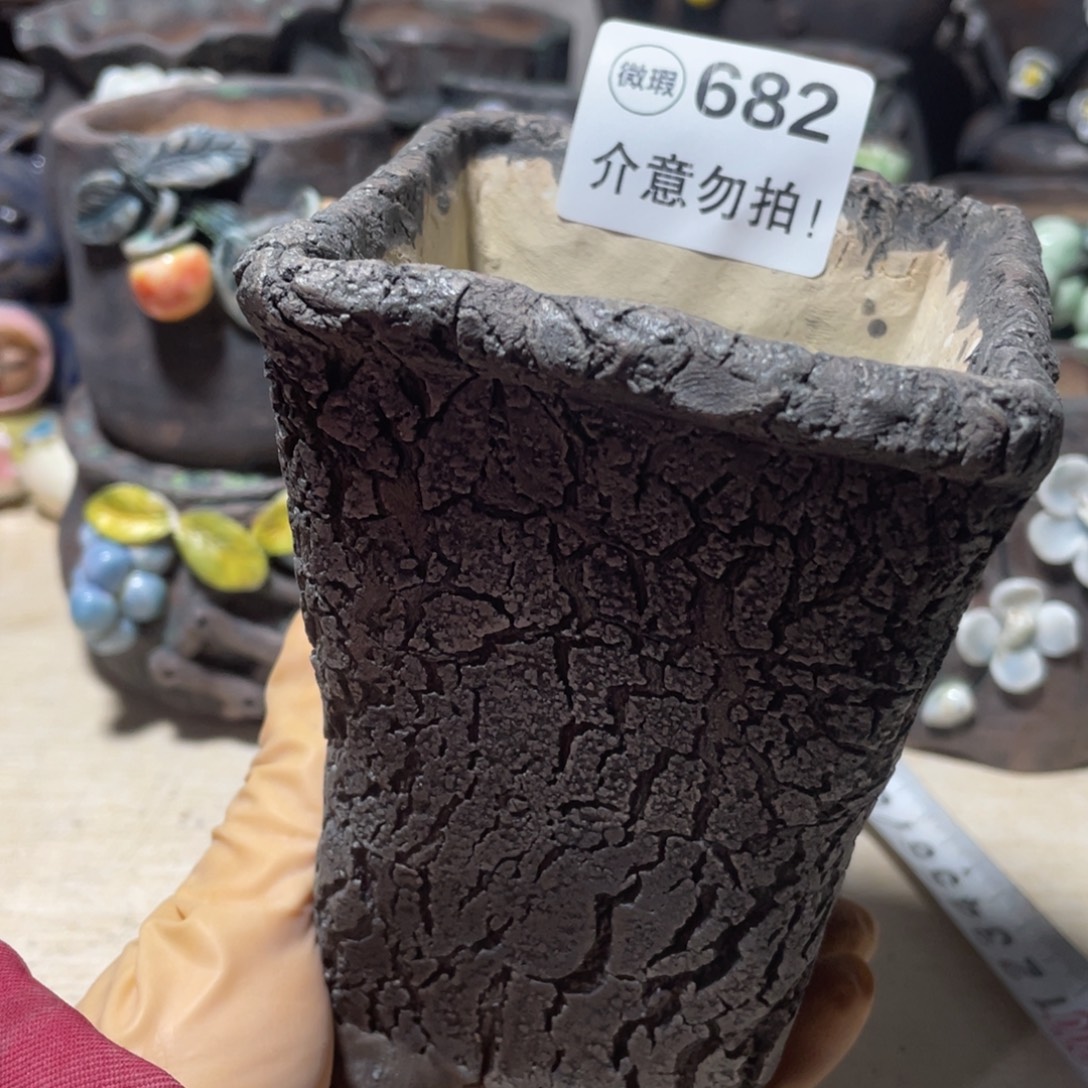 微瑕的小可爱也可以来