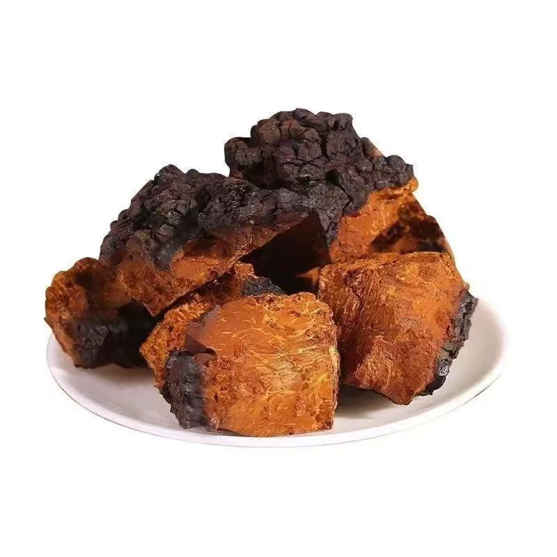 【叶主任推荐】俄罗斯桦树茸（已开价）