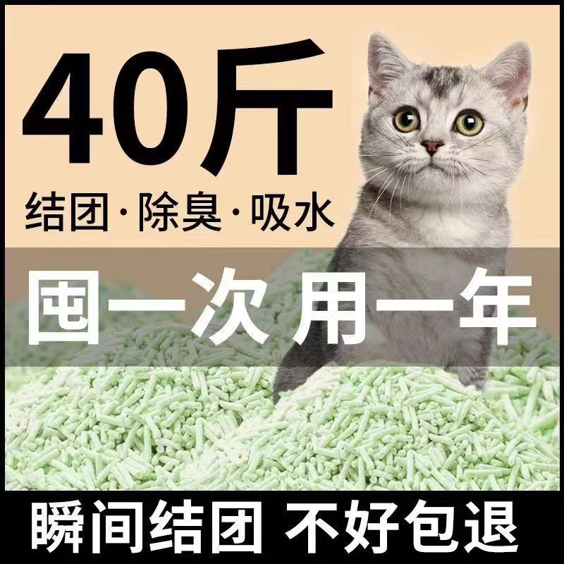 豆腐猫砂无尘除臭结团快吸水植物猫咪用品