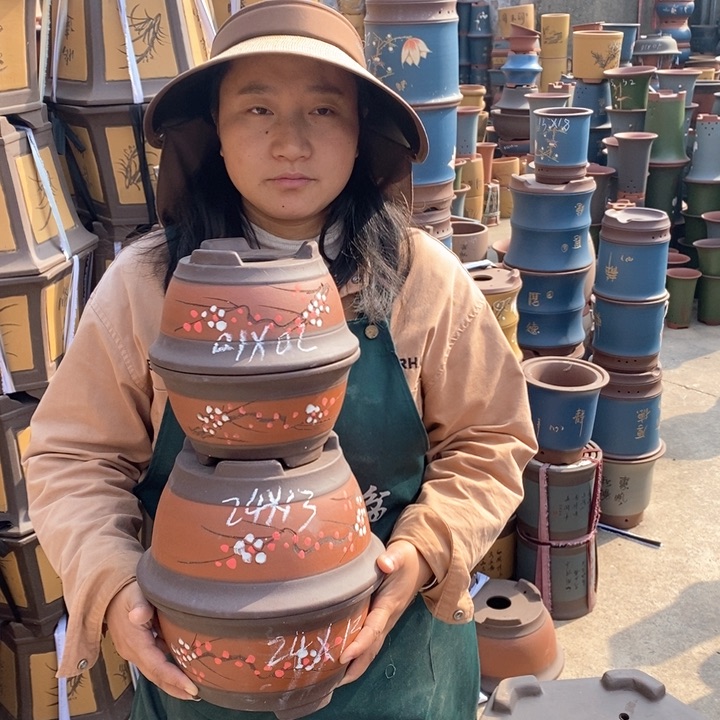 紫砂花盆盆栽花卉苗木种植