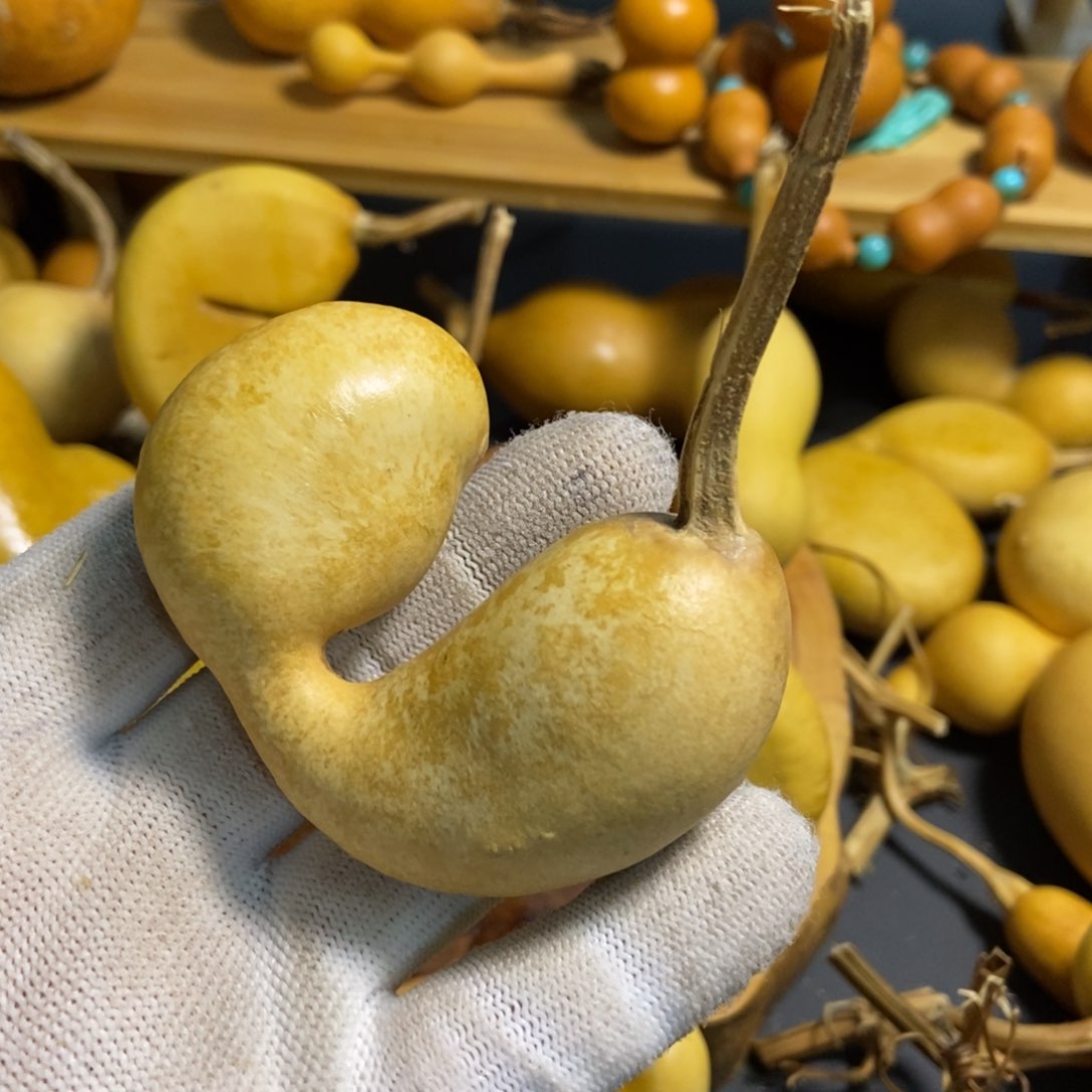 普*r葫芦葫芦真的