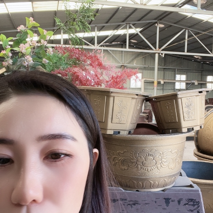 圆50口径花盆两个