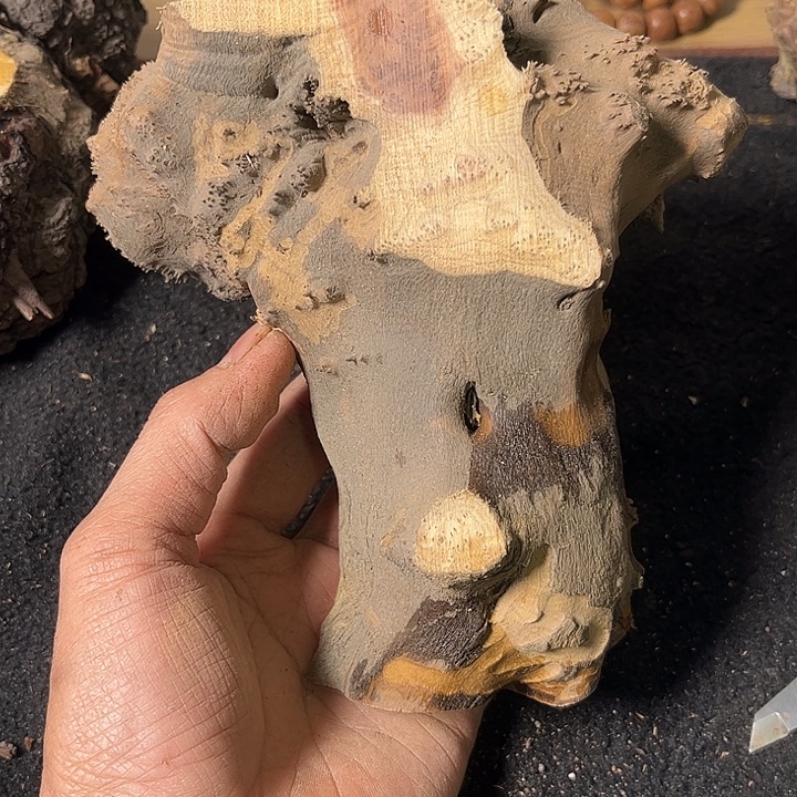 用***9香榧木我们的确是一个人的