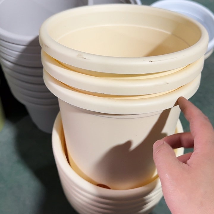 微瑕3#米黄10个无托