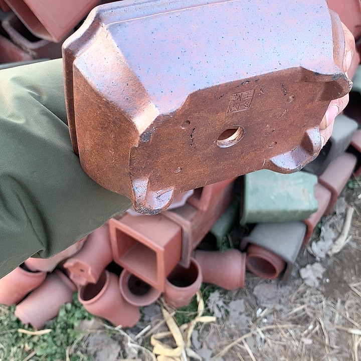 紫砂哈哈真的是太喜欢