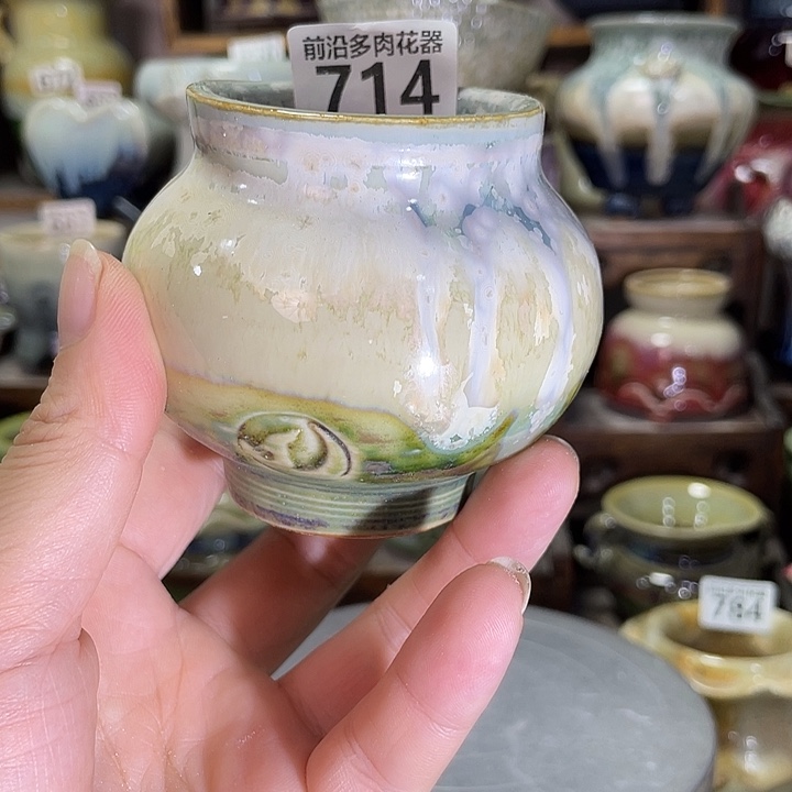 狼盆内口径5高度6