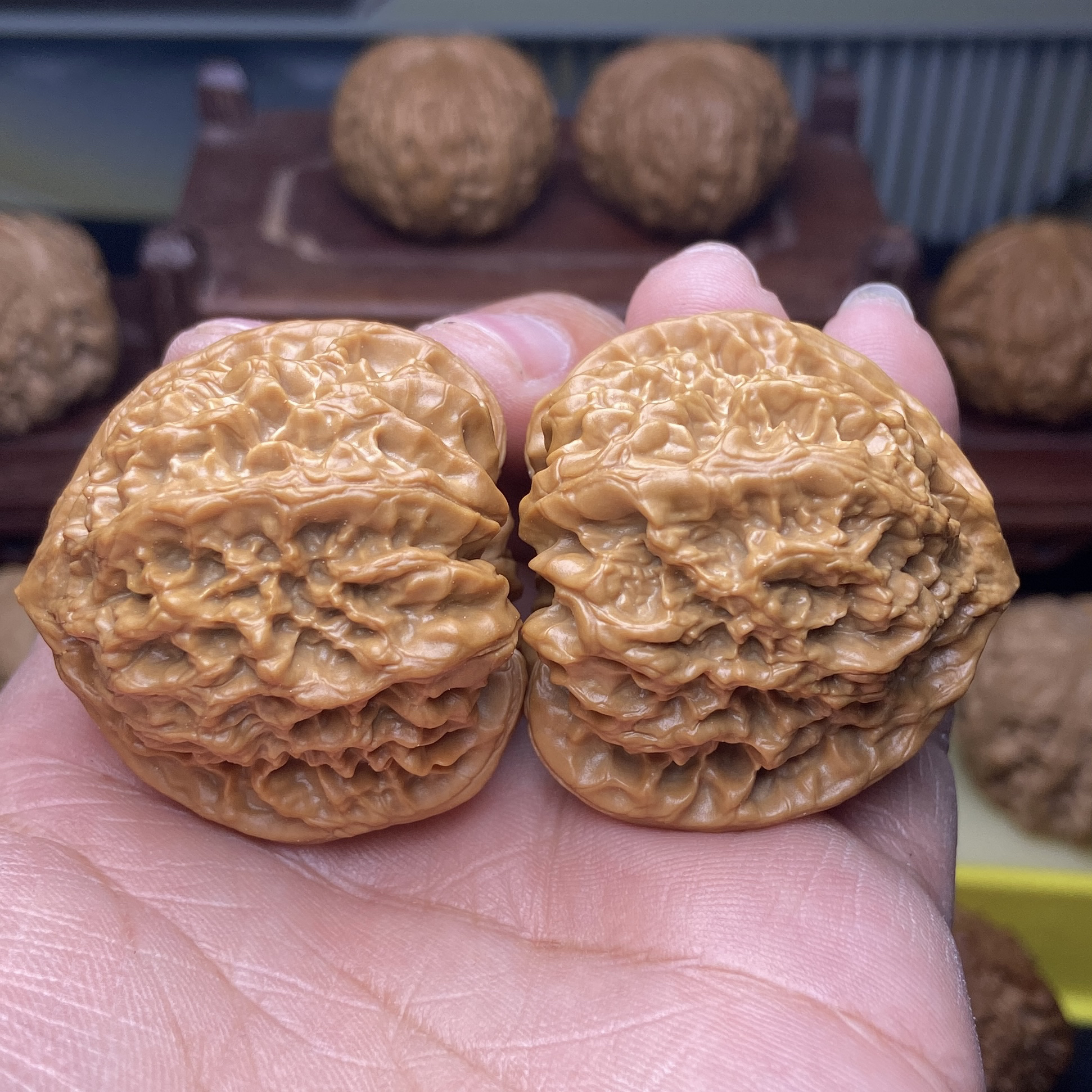 41全品野牛狮子头